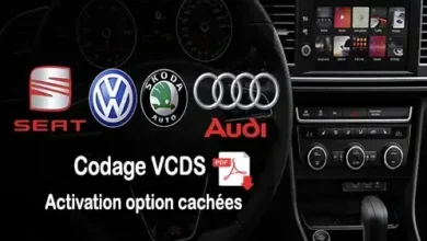 -Codage-VCDS-activation-option-cachees